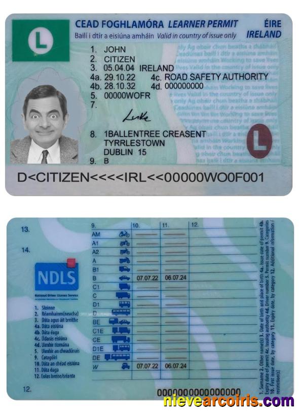 IRELAND driving license (learner permit) 2022- present